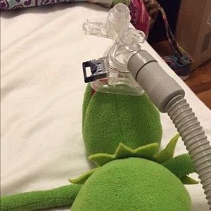 Meet your Posher, Lizzy